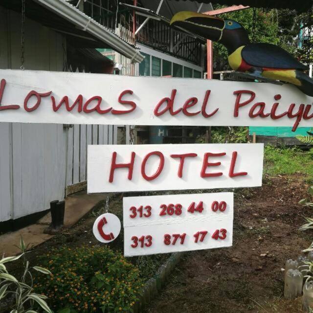 Hotel Lomas Del Paiyue Puerto Narino Ngoại thất bức ảnh